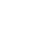 cosmos