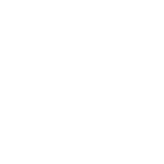 el tren